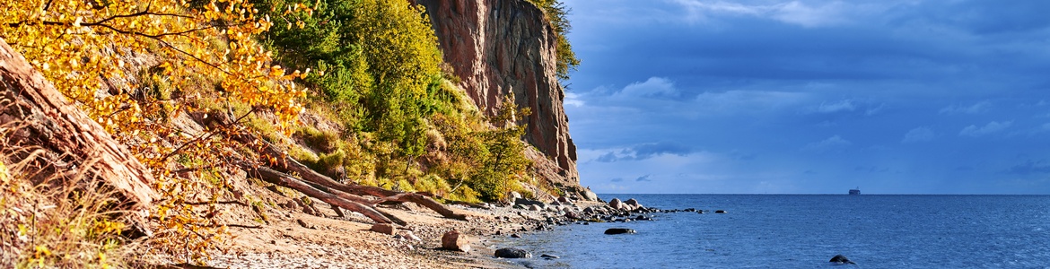 gdynia_klif_orlowski_jesien_1170x300.jpg