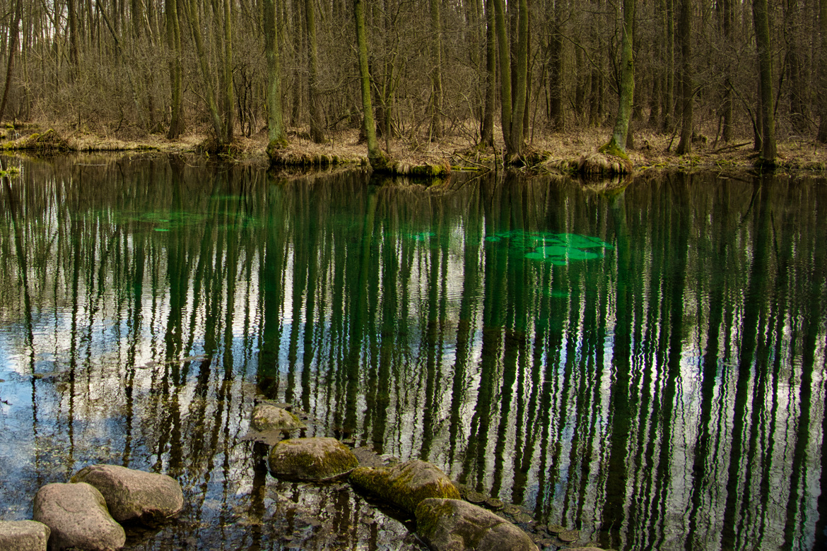 Rezerwat przyrody Niebieskie Źródła