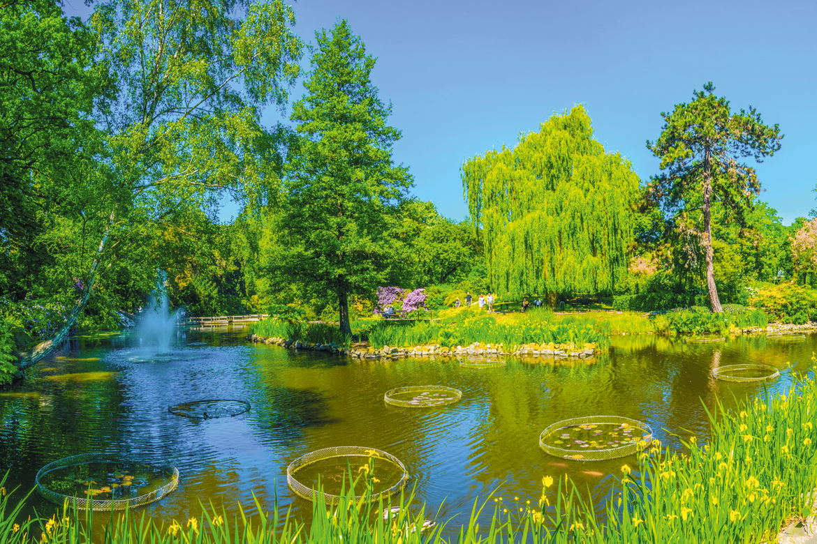 Ogród Botaniczny Uniwersytetu Wrocławskiego we Wrocławiu