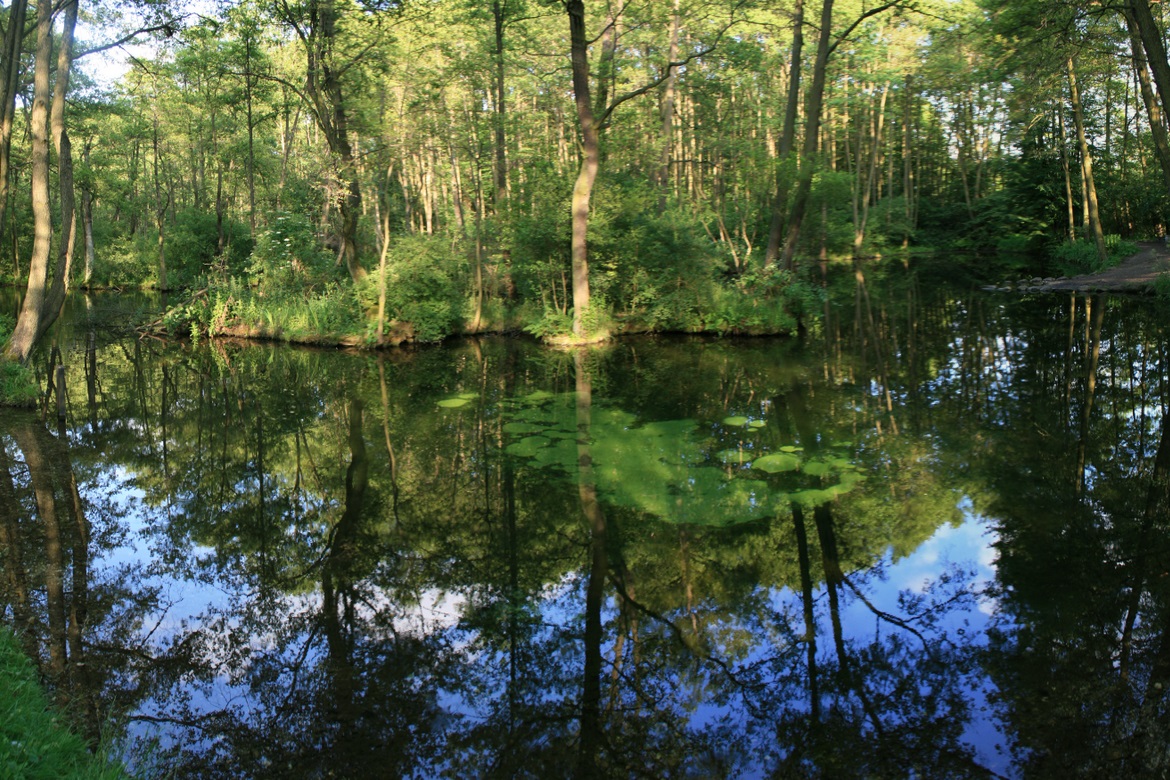 niebieskie żródła