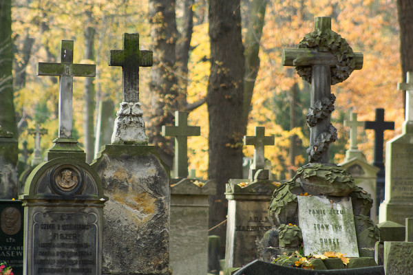 cmentarz Powązki
