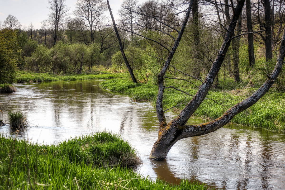 Bolimowski Park Krajobrazowy