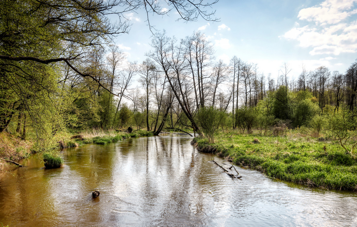 Bolimowski Park Krajobrazowy