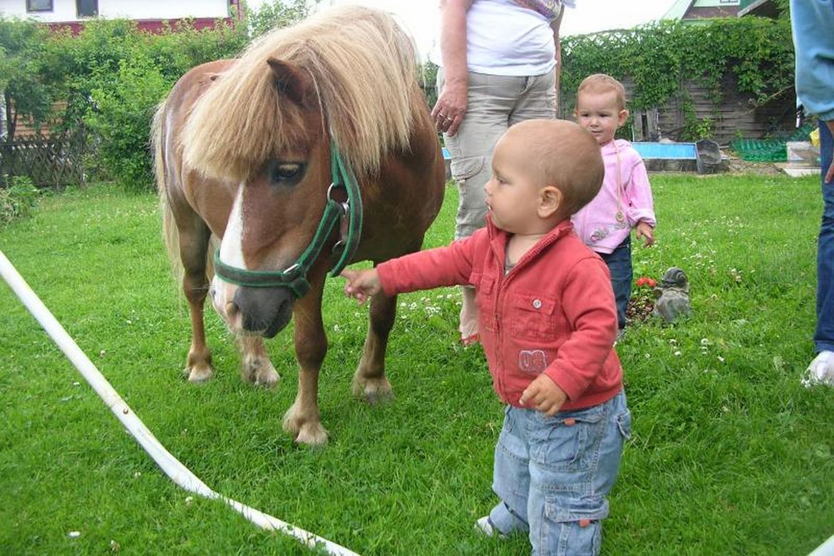 „Małopolska wieś dla dzieci” - Certyfikat POT (2011 r.)