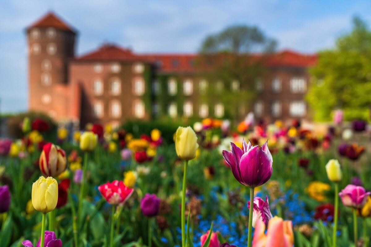 Wewel w wiosennej odsłonie