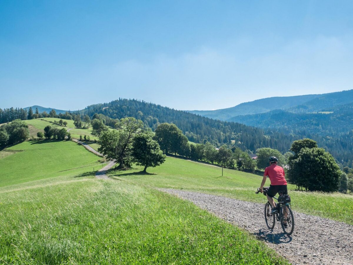 Beskid Ślaski, Cieńków, fot. Damian Berłowski, roweremposlasku.pl