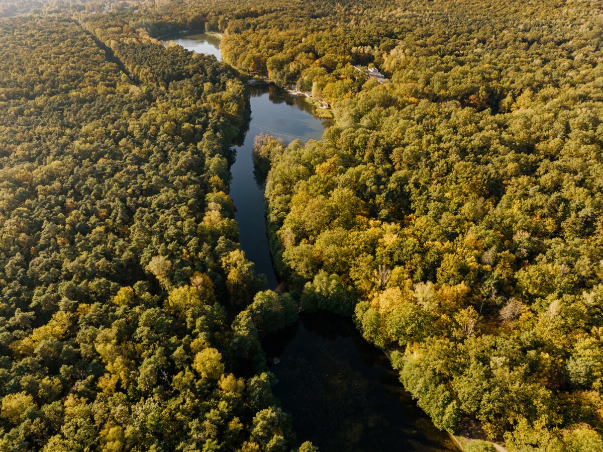 Las Łagiewnicki, Arturówek