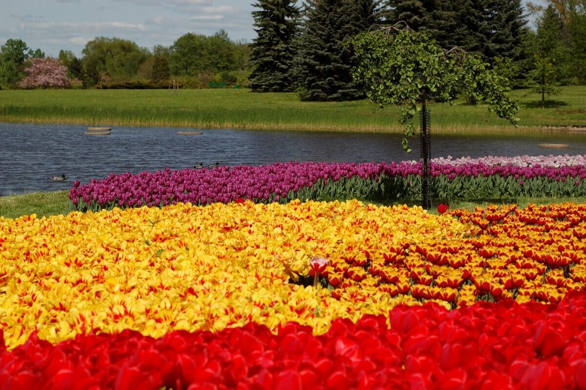 Ogród Botaniczny w Łodzi