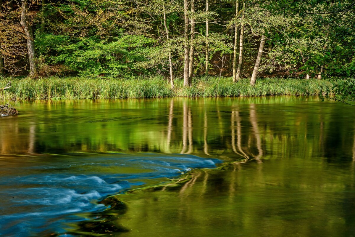 Drawieński Park Narodowy