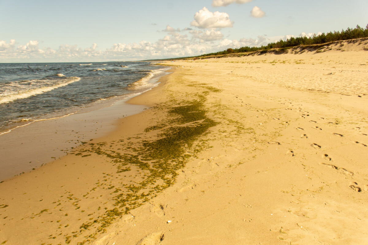 Plaża w Piaskach, Mierzeja Wiślana