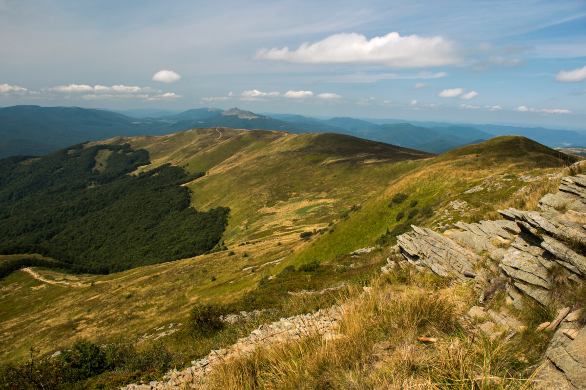 Bieszczady, Tarnica, fot. Honorata Stanisz