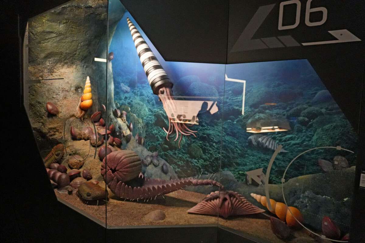 Kielce, Centrum Geoedukacji