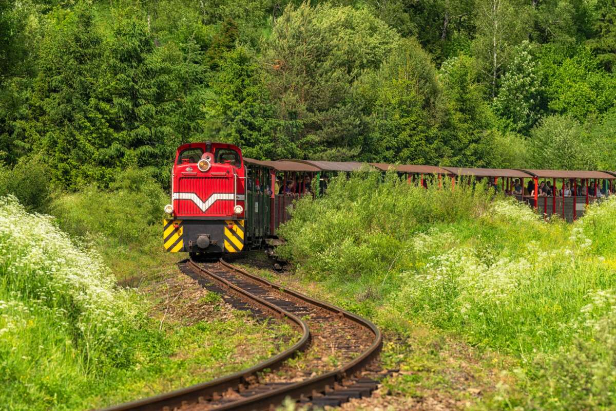Bieszczadzka Kolej Leśna