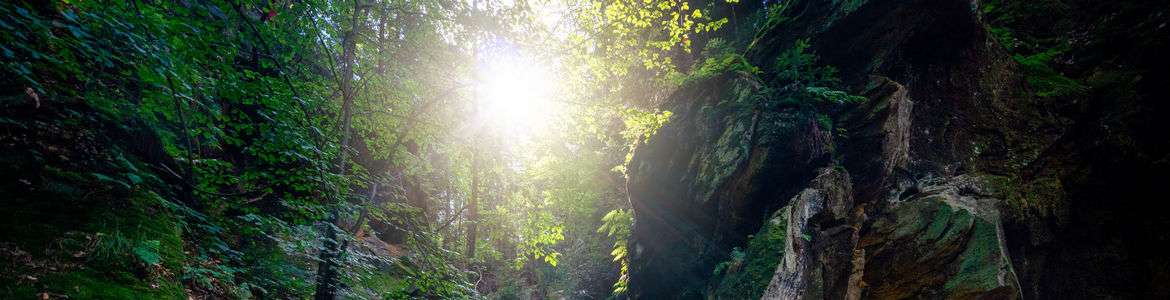 Skamieniałe Miasto w Ciężkowicach