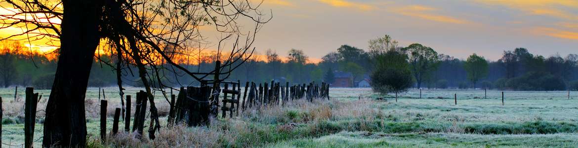 Kampinoski Park Narodowy