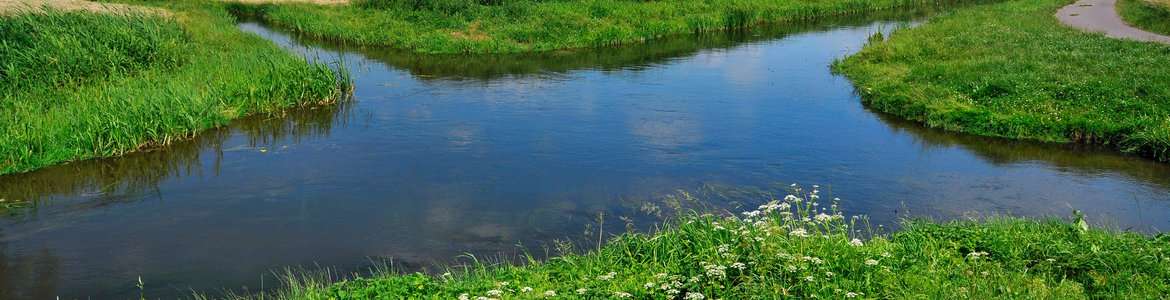 Wągrowiec - skrzyżowanie rzek