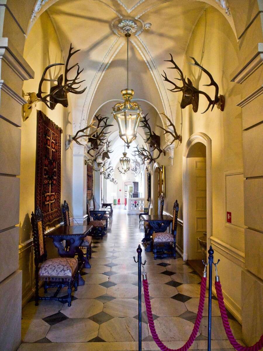 Zamek (Pałac) w Pszczynie