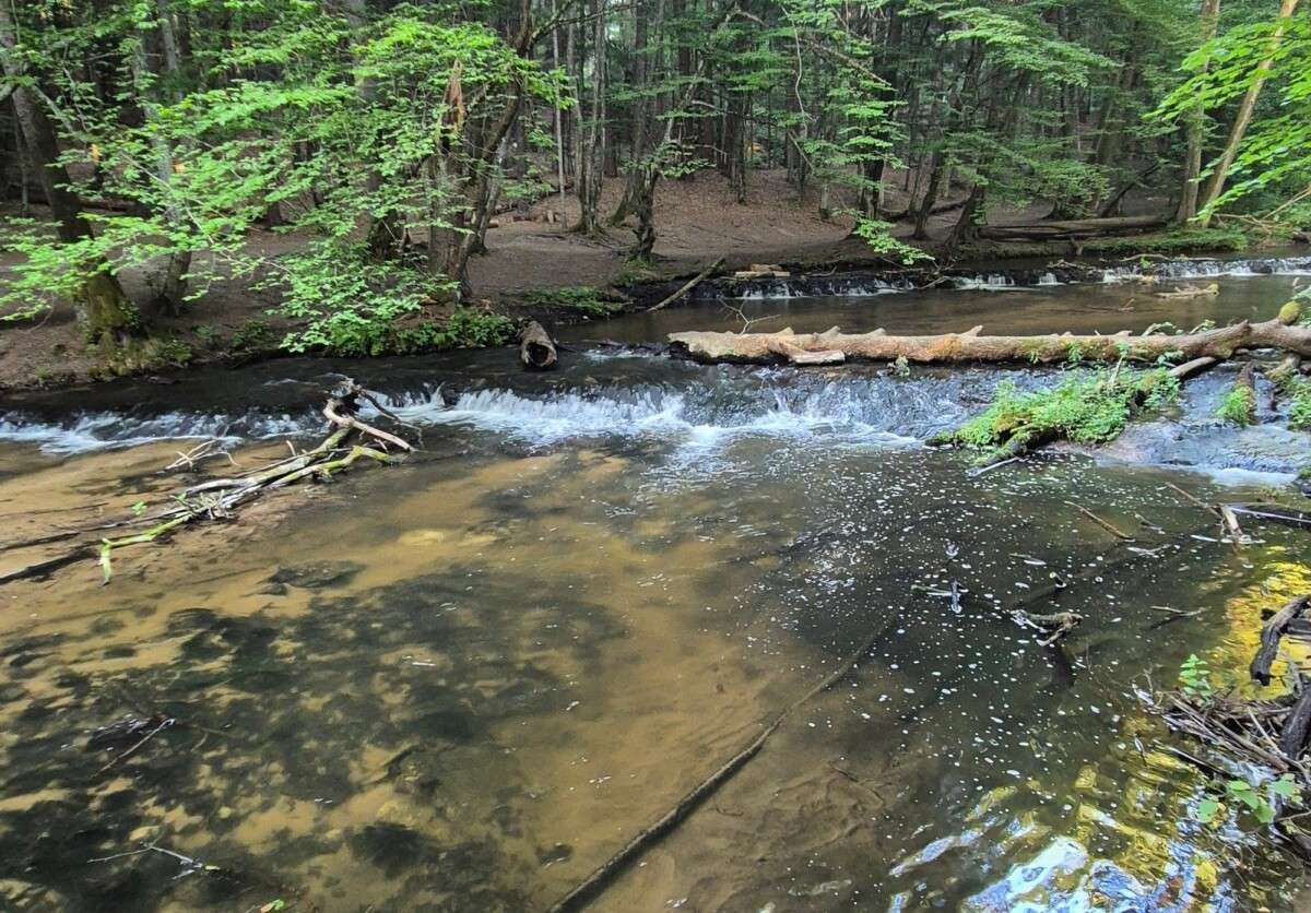 Szumy nad Tanwią, Roztoczański Park Narodowy