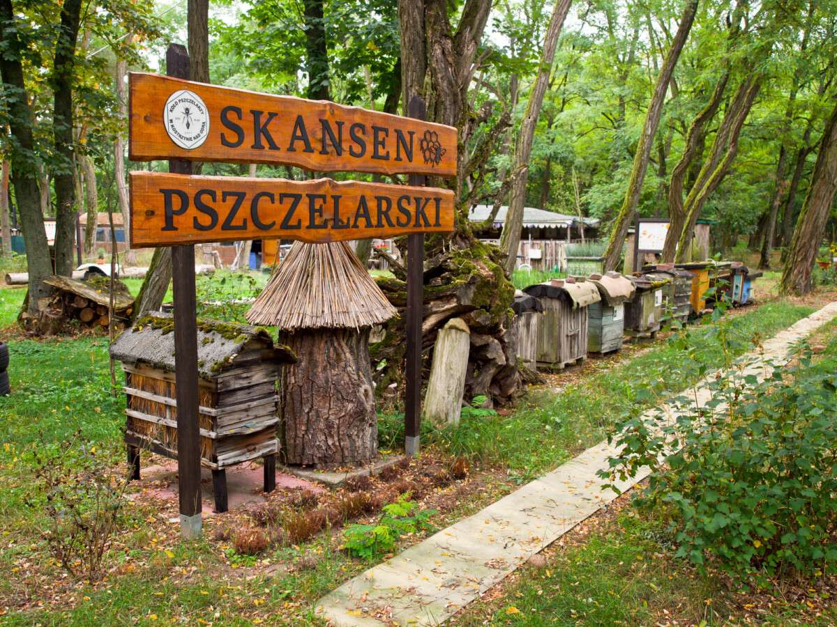 Skansen Pszczelarski koło Kostrzyna nad Odrą